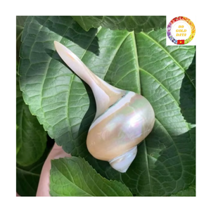 ที่ใส่ตะเกียบทรงเปลือกหอยมุกสุดหรูช้อนเปลือกหอยทำด้วยมืออุปกรณ์เสริมสำหรับโต๊ะอาหารเป็นมิตรต่อสิ่งแวดล้อม - Product Image 1