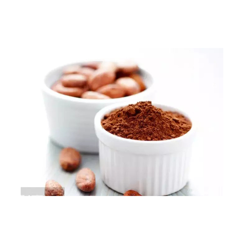 Natural/Alkalized Cocoa Powder -Best Price and Quality