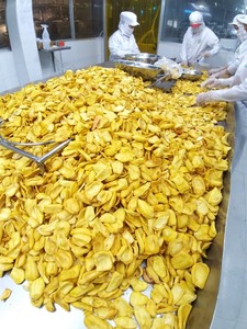 Rodajas de Jaca Seca Dulces y Crujientes, Snack a Granel, Chips de Fruta Orgánica Vietnamita Conservada en Salmuera y Envasada al Vacío - Product Image 4