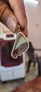 Collection exclusive 2024 Ailes de papillon naturelles au look ultime Belles formes de couleurs et texture prêtes à être expédiées Prix d'usine - Product Image 4