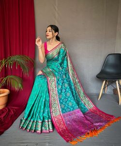 Saree en organza pour la fête avec chemisier et dentelle - Product Image 4