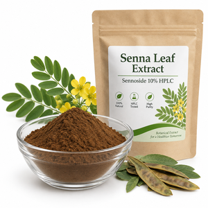 Estratto in Polvere di Foglie di Senna LongBio, Sennoside 10% HPLC, Estratto di Foglie di Cassia Acutifolia per Integratori in Capsule OEM - Product Image 1