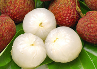 Premium Export Verse Lychee Met Hoofdgewas Bevroren Lychee Verse Lychee