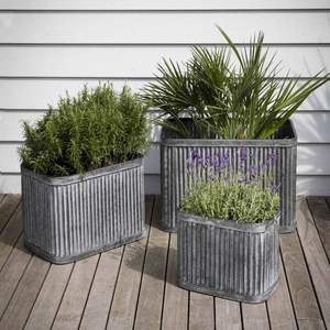 Macetas ovaladas personalizables ecológicas galvanizadas de hierro de lavado blanco perfectas para cultivar hierbas flores vegetación jardines al aire libre - Product Image 5