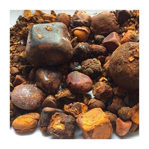 Cálculos Biliares de Buey y Bezoar en Polvo 100% Originales de Calidad |   Cálculos Biliares de Ganado con Proteína para Uso Cosmético - Product Image 1