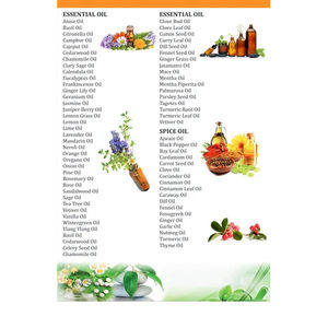 Huile essentielle d'anis distillée à la vapeur 200 Kg Emballage Huile essentielle pure disponible au meilleur prix et à des tarifs compétitifs 25kg - Product Image 5