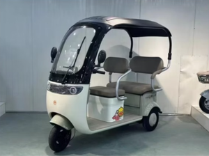 สกู๊ตเตอร์ไฟฟ้า3ล้อสำหรับผู้ใหญ่รถสามล้อไฟฟ้าในเมือง800W - Product Image 6