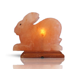 Juego de lámpara de sal del Himalaya con forma de animal OEM autorizado GMP, cable eléctrico tallado orgánico y bombilla para decoración y salud del hogar - Product Image 2