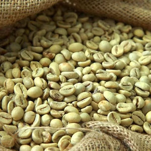 Premium Organic Arabica Green Coffee Beans Grade AA+ Specialty Coffee ISO 22000 Certified TNFOOD Lam Dong Vietnam 24-Month <b>Shelf</b> - Product Image 1