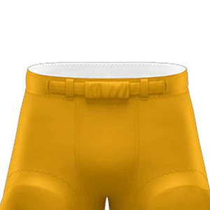 Venta al por mayor 7 Pad Compression Football Practice Pants New Arrival Youth American Integrated Football Pants Faja para la venta - Product Image 4