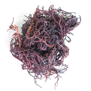 ¡Gran venta! Algas Eucheuma Cottonii secas de alta calidad al precio más barato de Vietnam/productos estándar de exportación - Product Image 5