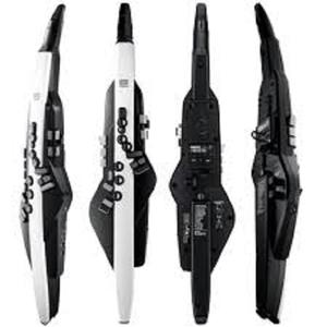 โรแลนด์ Aerophone AE-20/AE-10G เครื่องดนตรีลมดิจิตอลรุ่นใหม่ที่ดีที่สุด - Product Image 1
