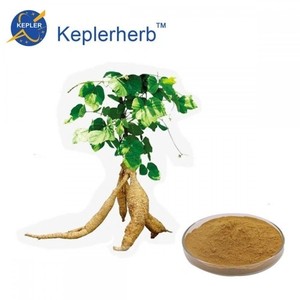 Pabrik grosir suplemen murni alami 30% Puerarin Kudzu ekstrak akar Pueraria bubuk ekstrak curah