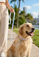 Ensemble collier et laisse pour chien, réglable, iridescent, laisse de promenade pour animaux de compagnie avec boucle en métal pour chiens de petite et moyenne taille