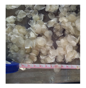ปลานิลเกล็ดอบแห้งดวงอาทิตย์ - Product Image 3