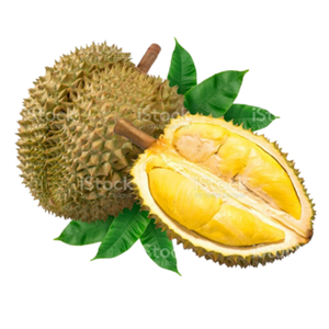 ผลไม้สีขาวจำนวนมากเชื่อมผลไม้สดใหม่ทั้งหมดสดที่อุดมไปด้วย6เวียดนามประเภทที่มีคุณภาพส่งออกเราตลาด - Product Image 1