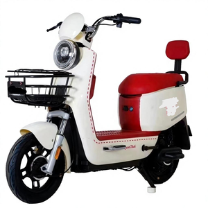 Vélo électrique 48V à une vitesse, autonomie 55-65 km, moteur roue arrière, roues de 14 pouces, freins à disque avant/arrière, pour homme, 1000W - Product Image 1