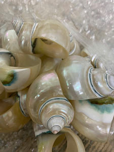 2025 Trend Natural <b>Wicker</b> Napkin Ring Exquisite Polished Seashell Conch Shell Table Decoration Handcrafted Natural <b>Crafts</b> - Product Image 6