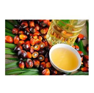 Huile de palme raffinée de qualité supérieure pour la cuisson, la pâtisserie et la production alimentaire - Commandes importantes et réductions pour achats en gros disponibles - Product Image 2