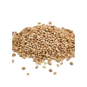 Semillas de Cáñamo de Doble Lengua con Alto Contenido de Proteína para Alimentos y Aceite, Exportación a Granel desde India, 12 Meses de Vida Útil - Product Image 3