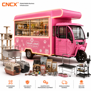Triciclo Eléctrico para Helados en Venta, con Congelador y Barra de Aderezos, Ideal para Eventos de Verano en la Playa - Product Image 4