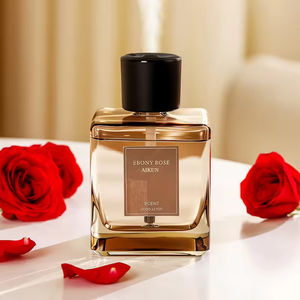 Difusor de Aromas Aikun de Lujo con Aceites Esenciales Naturales, Repelente de Mosquitos, Ecológico, Sin Alcohol, Larga Duración, para Hogar y Oficina - Product Image 2