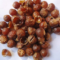 Noix de savon naturelle séchée sans pépins pour la lessive saponines prix le moins cher noix de savon soapberry