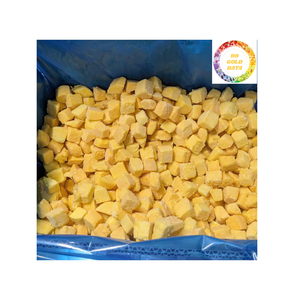 Mangue congelée d'origine du Vietnam de qualité supérieure Meilleur choix pour les acheteurs mondiaux 2025 - Product Image 4