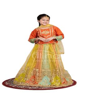 Traje de lehenga bordado de diseño elegante para niñas, ropa paquistaní transpirable para niñas, ropa lista para usar. - Product Image 1
