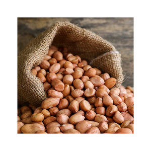 Prix Réduit Arachides Fraîches Blanchies Biologiques de Qualité Supérieure pour l'Huile Comestible et la Transformation de Snacks - Product Image 6