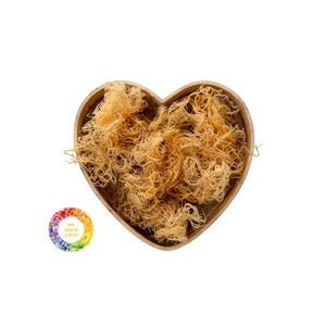 100% Organic Natural Dried Eucheuma Cottonii <b>Seaweed</b>/Dried Sea Moss Cheap Price From Vietnam/Irish Moss for Export - Product Image 1