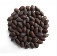 Graines de coton biologique de la meilleure qualité, prêtes à l'exportation, vente en gros, prix abordable, durée de conservation de 24 mois, prêtes à l'emploi, OEM Afrique du Sud
