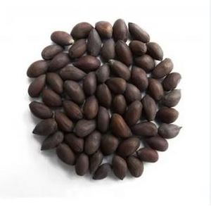 Graines de coton biologique de la meilleure qualité, prêtes à l'exportation, vente en gros, prix abordable, durée de conservation de 24 mois, prêtes à l'emploi, OEM Afrique du Sud - Product Image 5