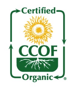 Beurre corporel crème bio à base de plantes naturelles sans sulfate de 8 oz fabriqué aux États-Unis, végan, beurre de karité, cacao pour un usage quotidien, étiquette privée OEM - Product Image 2