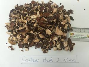 Anacardos en venta de 1 - 10 mm tamaño natural al por mayor cáscara de anacardos crudos de Vietnam para exportación - Product Image 2