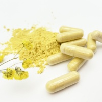 Capsules vides à libération retardée, halal, sans TiO, en gélatine, HPMC ou végétales, vente en gros en vrac, directement de l'usine