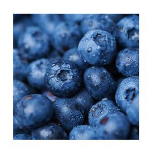 Vente en gros pas cher prix meilleure qualité fruits bleuets frais à vendre exportations dans le monde entier - Product Image 3