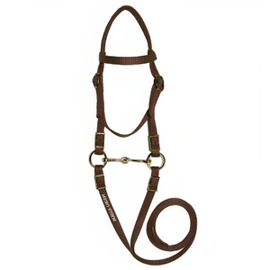 Équipement d'équitation de couleur personnalisée de nouvelle conception, bride de taille de cheval en nylon bleu - Product Image 3