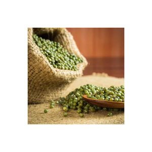 Haricots mungo verts pour les repas végétaliens riches en protéines - Product Image 5