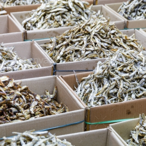 Anchoas y espadines secos Premium vietnamitas auténticas, sal, marisco en conserva, empaque a granel, Sra. Jessi - Product Image 2