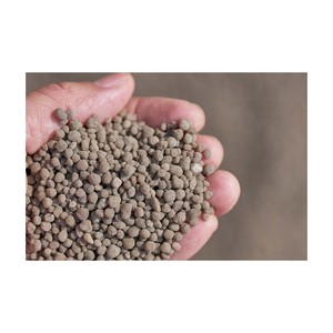 Productivité et croissance élevées des cultures avec l'engrais SSP Superphosphate à vendre - Product Image 3
