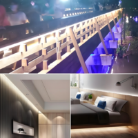 Bande LED Super Lumineuse Extérieure Étanche Flexible pour Plafond, Haute Tension 220V IP65 2700K Blanc Chaud Doux, PVC pour Parc Thématique