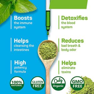 Suplemen <span class=keywords><strong>Alfalfa</strong></span> Tetes Organik Bebas Gluten Moq Rendah Klorofil Cair Hijau - Product Image 2