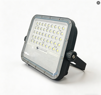 Reflector Solar LED para Jardín WOOJONG, Aluminio, IP65, Alto Lumen, 200W, 4000K, Control Remoto, Batería LiFePO4, 3 Años de Garantía, EMC, CE