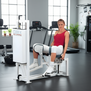 Remanufactured Classic Hip Adduction Machine for Inner Thigh Strength Training ABS Material Indoor <b>Exercise</b> Equipment - Product Image 3