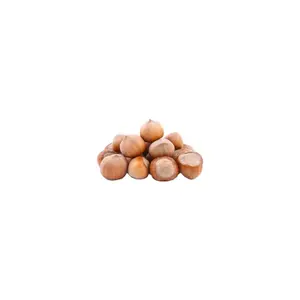 Order Wholesale Hazelnuts - Bulk Hazelnuts for Sale Hazelnut Kernels/Hazelnut In Shell/ Organic Hazelnut