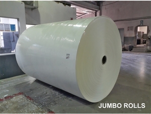Papel Higiénico Jumbo Estándar, Pulpa de Madera Virgen, Blanco, Marca OEM, Hecho en ZA - Product Image 2