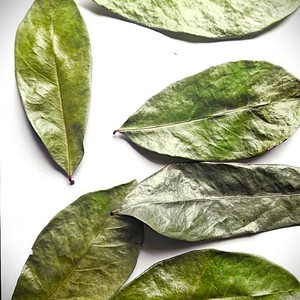 Guanábana deshidratada de Sri Lanka, hojas cortadas en T, hierba seca para productos médicos para bodas - Product Image 6