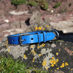 Colliers de chien, bride en cuir cousue à la main Collier de chien en cuir pour lévrier et Whippet - Product Image 3