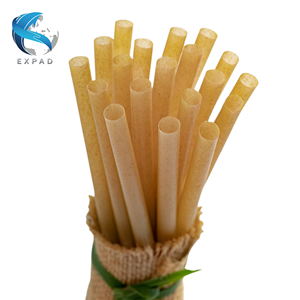 Pajitas de caña de azúcar ecológicas para un estilo de vida sostenible - Product Image 1